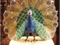 Pfau