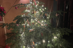 20251213_173550852_iOS